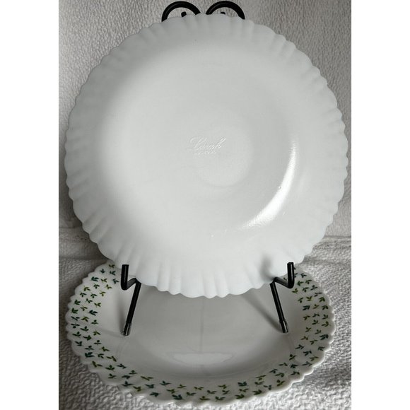 Larah By Borosil (2) Dinner Plates 10”W Sage Silk Opalware  100% Vegan Excellent - Picture 8 of 13
